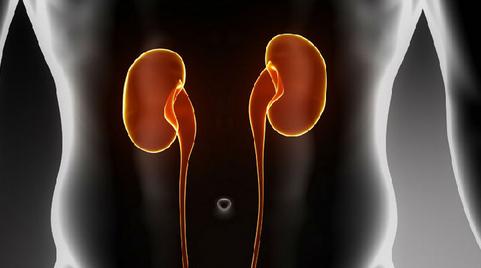 靶向治疗对肾癌晚期的疗效,靶向药对肾癌晚期患者有多大效果