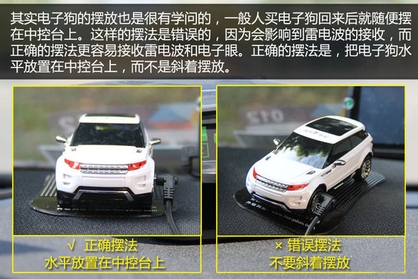 一张图看懂狗的智力,几张图看完狗的一生