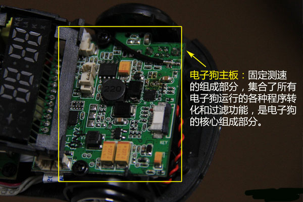 一张图看懂狗的智力,几张图看完狗的一生