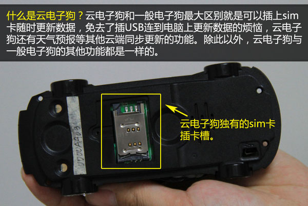 一张图看懂狗的智力,几张图看完狗的一生