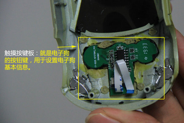 一张图看懂狗的智力,几张图看完狗的一生