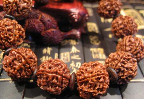 尼泊尔大金刚菩提6瓣18颗手持 (尼泊尔哪个地方的金刚菩提最好)