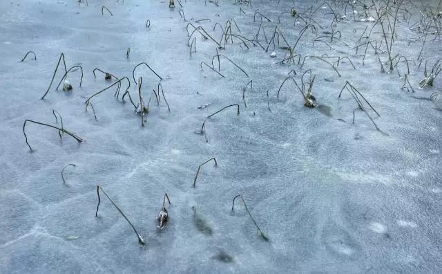 cmpa是什么,cmpa东莞坎普