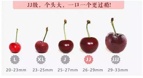 武汉车厘子批发,武汉水果批发市场车厘子