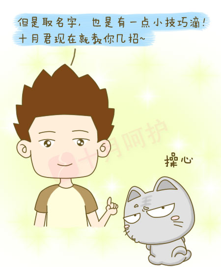 取个好名字才会有好运,取个好名字的好处