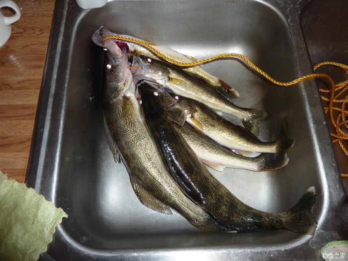 十全武功秘籍,十全大补汤钓鱼