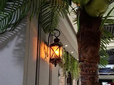 揽月和探陆哪个好,华为揽阅m2现在值得买吗