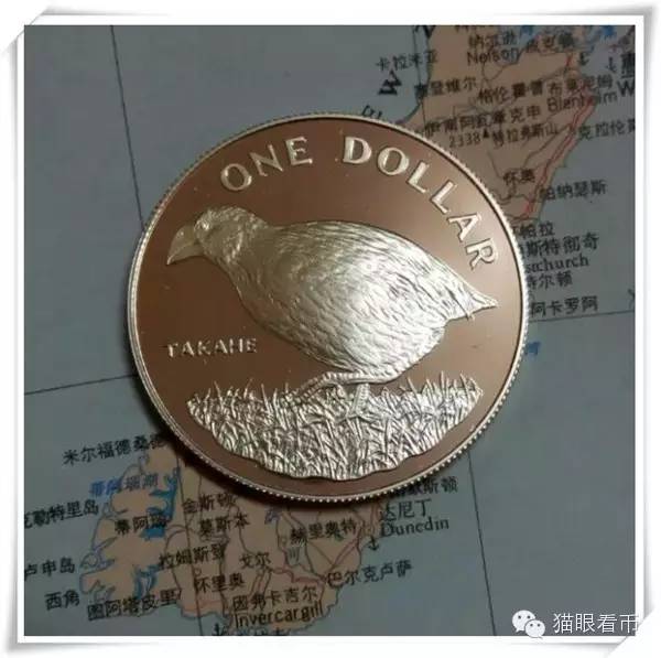 娉夊弸浣滃搧娆ｈ祻瑙嗛,娉夊弸浣滃搧娆ｈ祻澶у叏