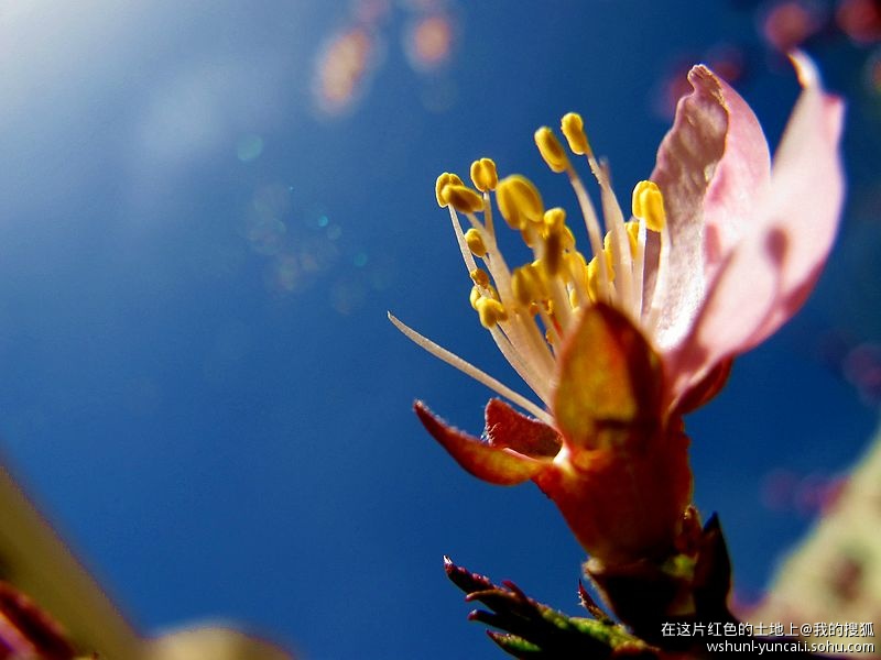 卡片机能拍出大片吗,卡片机能拍出压缩感吗