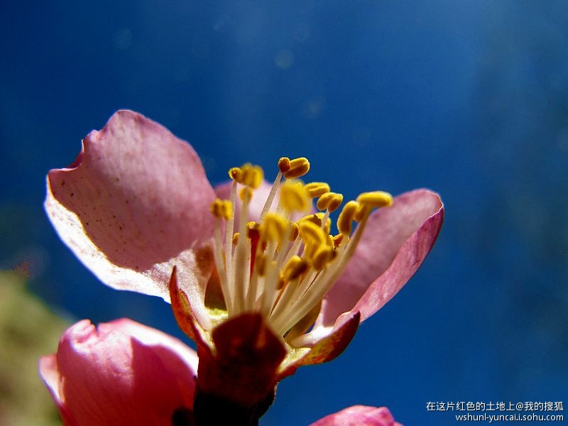 卡片机能拍出大片吗,卡片机能拍出压缩感吗