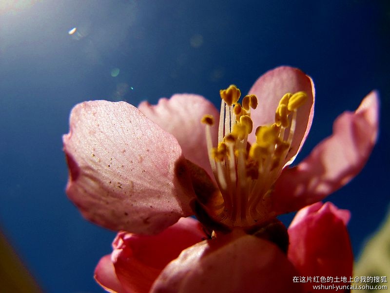 卡片机能拍出大片吗,卡片机能拍出压缩感吗