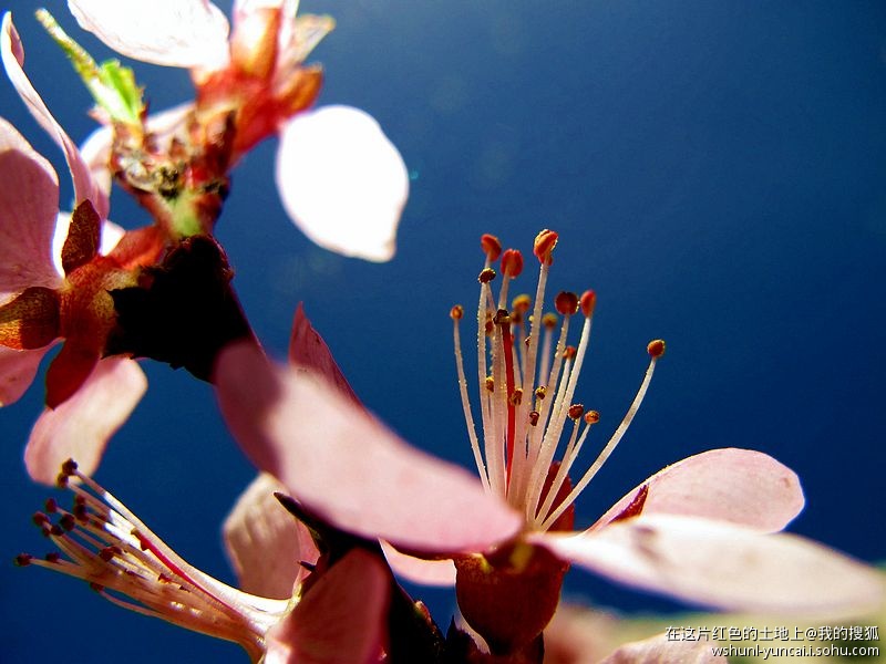 卡片机能拍出大片吗,卡片机能拍出压缩感吗