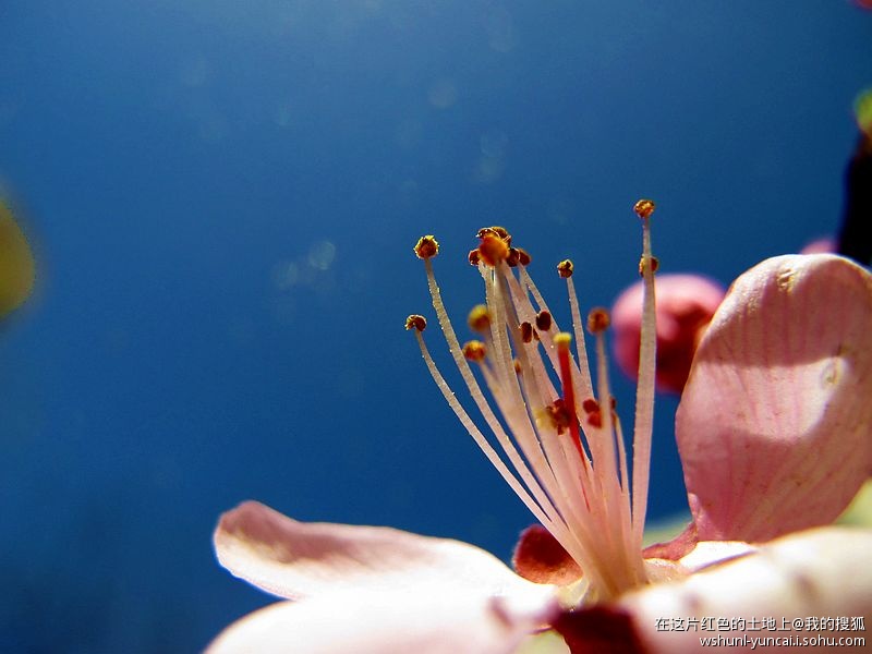 卡片机能拍出大片吗,卡片机能拍出压缩感吗