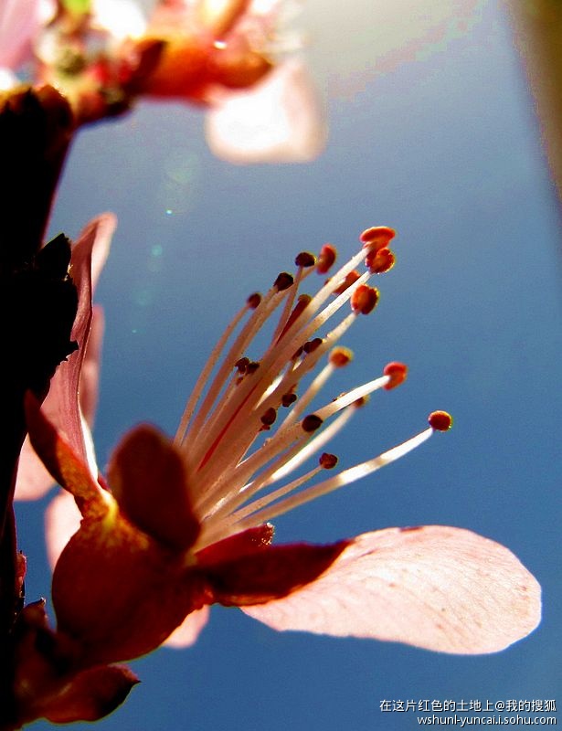 卡片机能拍出大片吗,卡片机能拍出压缩感吗