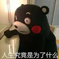 贵妇牌用不起？今天教你们寻找白菜价替代品