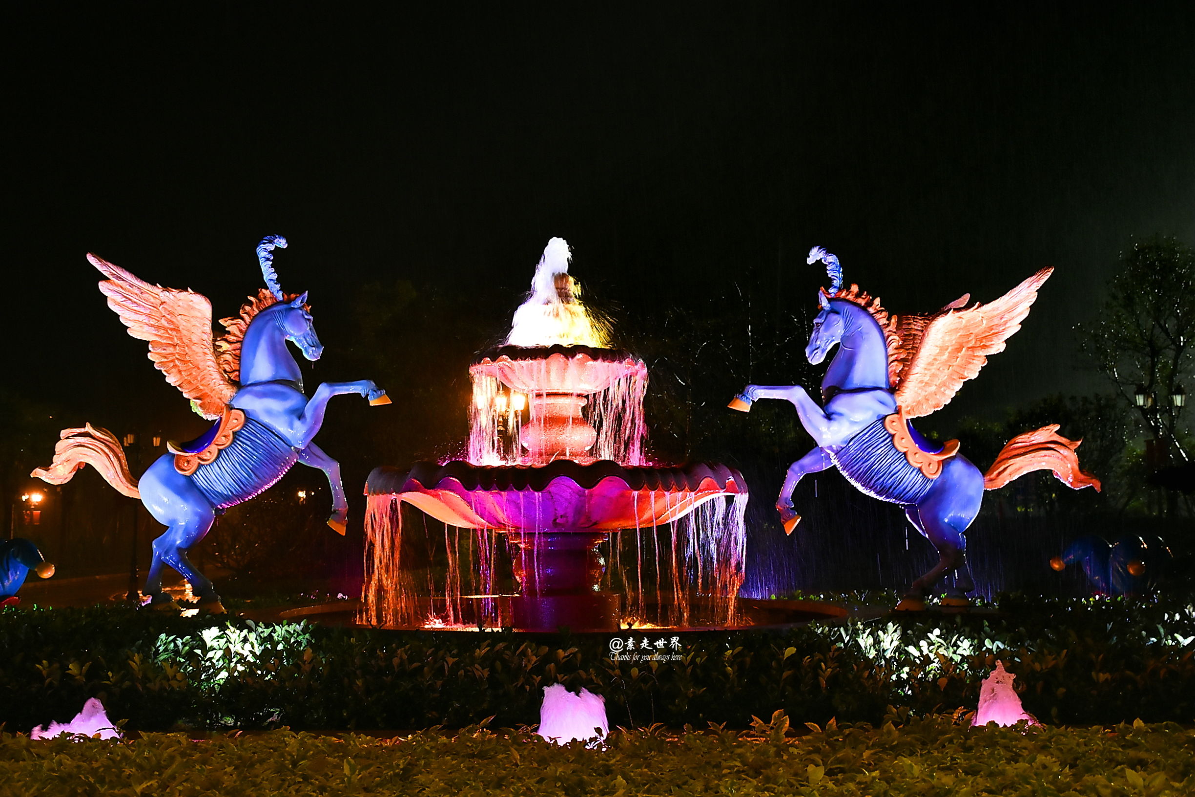 住马戏酒店游玩攻略,新年玩乐好地方