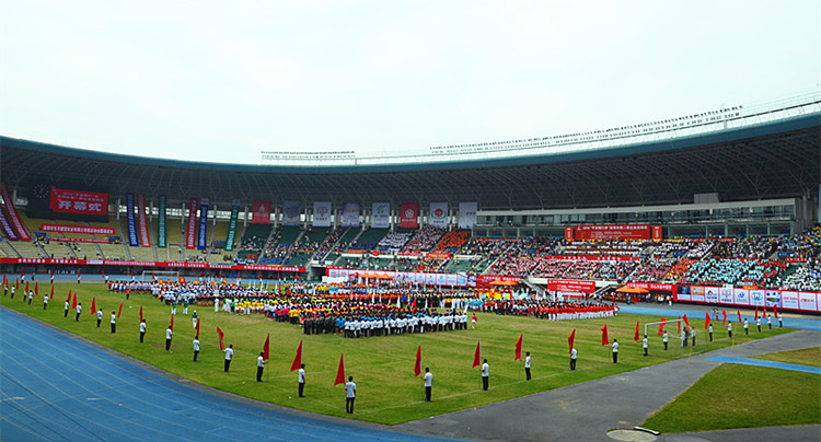 足球疯狂球迷视频,足球狂热球迷进场