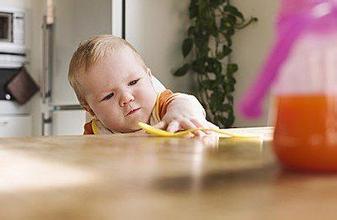儿童以食为天视频,宝宝吃货养成史辅食的添加技巧