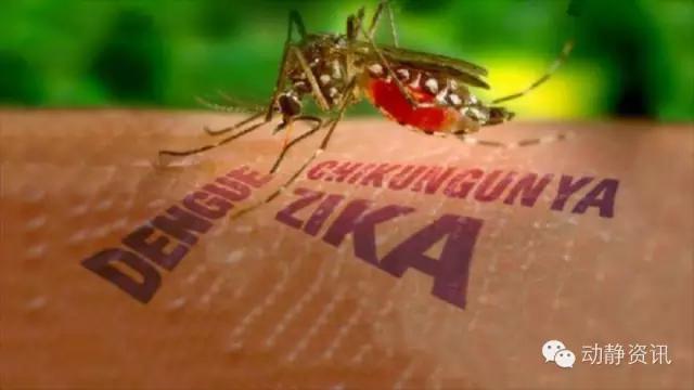 谨防网络诈骗这种短信千万别信,警惕短信通知航班取消新骗局