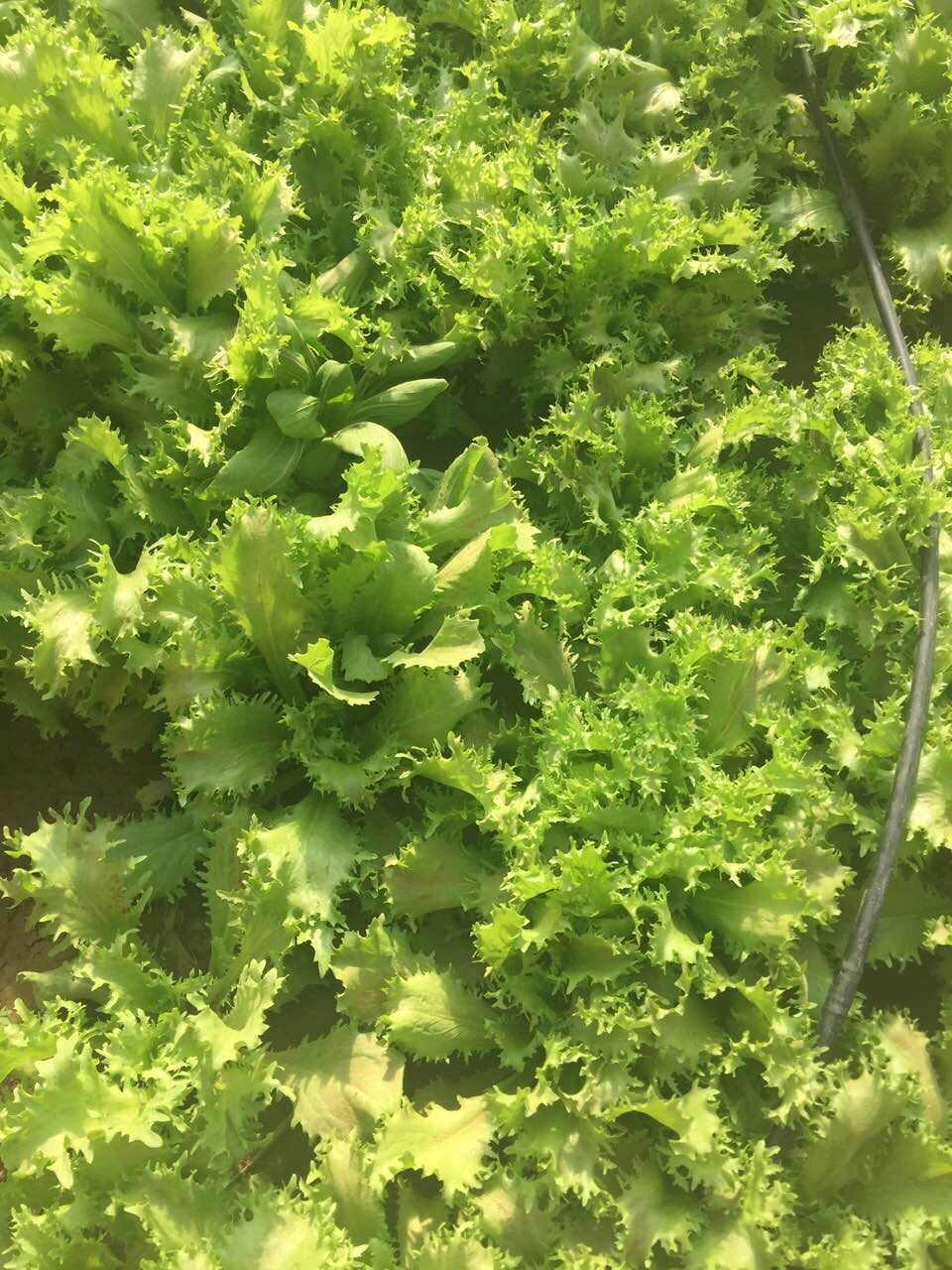 走吗约起之——外滩风尚西餐咖啡。各位您约了吗？我在太原尖草坪