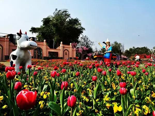 从东莞出发,不到两小时,就可以感受到靓爆灯的童话世界！