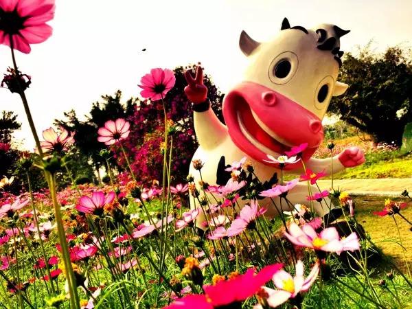 从东莞出发,不到两小时,就可以感受到靓爆灯的童话世界！