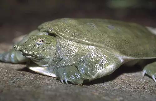 一招教你“发家致富”,99%的人都不知道的致富秘笈