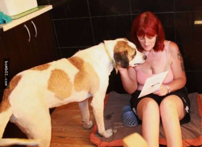 饱受虐待流浪狗虚弱到会死掉，但它获救后的模样连志工都不敢置信