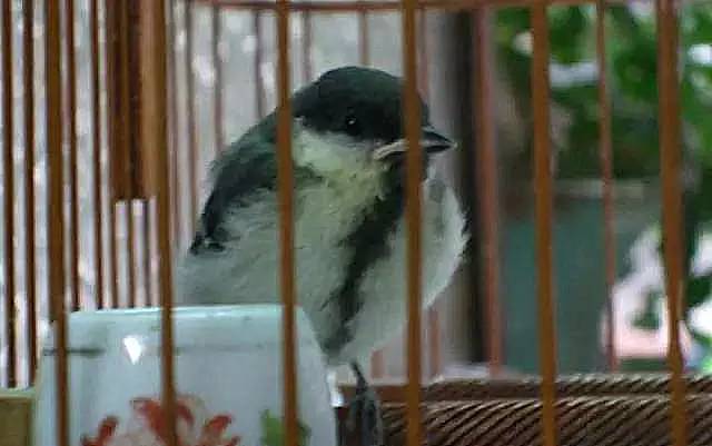 广州最具广东文化的街道,最具广州特色的街