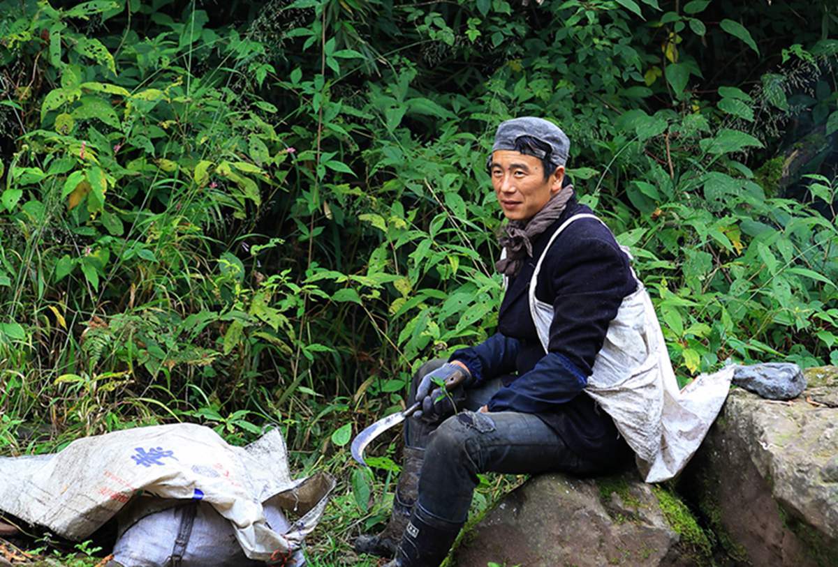 西部刀手,行走于中国道教神山四川洪雅瓦屋山,暗藏杀伐之气!