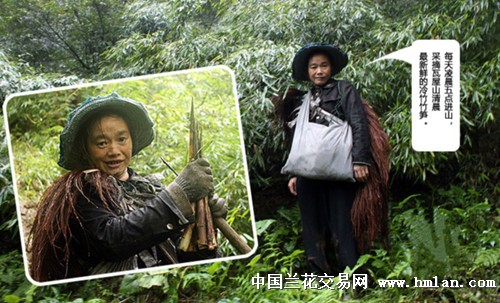 西部刀手,行走于中国道教神山四川洪雅瓦屋山,暗藏杀伐之气!