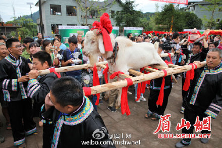 西部刀手,行走于中国道教神山四川洪雅瓦屋山,暗藏杀伐之气!