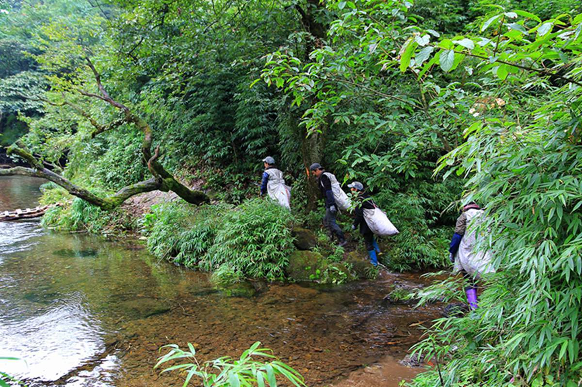 西部刀手,行走于中国道教神山四川洪雅瓦屋山,暗藏杀伐之气!