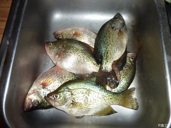 十全武功秘籍,十全大补汤钓鱼