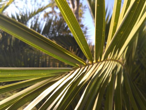 疑似小米官方定价失误红米手机3体验评测