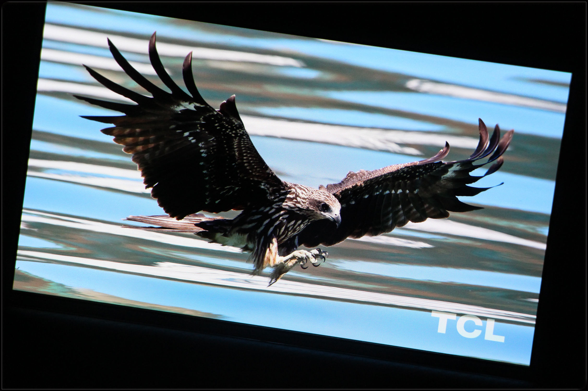 鑻规灉鎵嬫満鍝佽川,鑻规灉鍝佽川