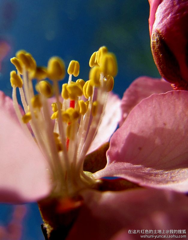 卡片机能拍出大片吗,卡片机能拍出压缩感吗