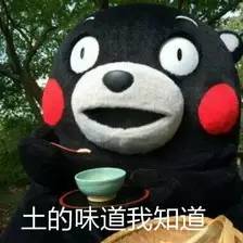 贵妇牌用不起？今天教你们寻找白菜价替代品