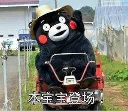 贵妇牌用不起？今天教你们寻找白菜价替代品