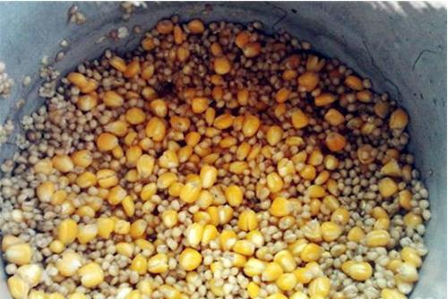 野钓鲤鱼和草鱼的饵料和窝料配方,钓鲤鱼草鱼打什么窝料发窝快