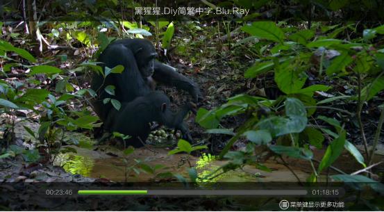 开博尔3d高清播放机评测,开博尔4k蓝光机