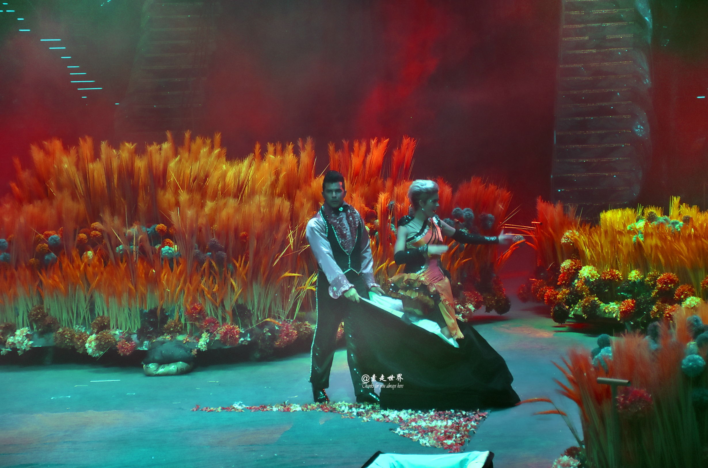 住马戏酒店游玩攻略,新年玩乐好地方