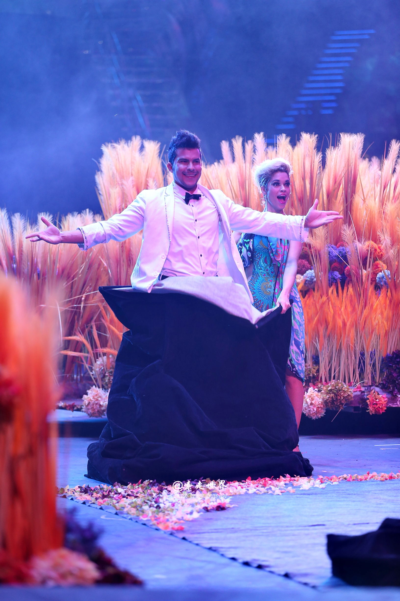 住马戏酒店游玩攻略,新年玩乐好地方