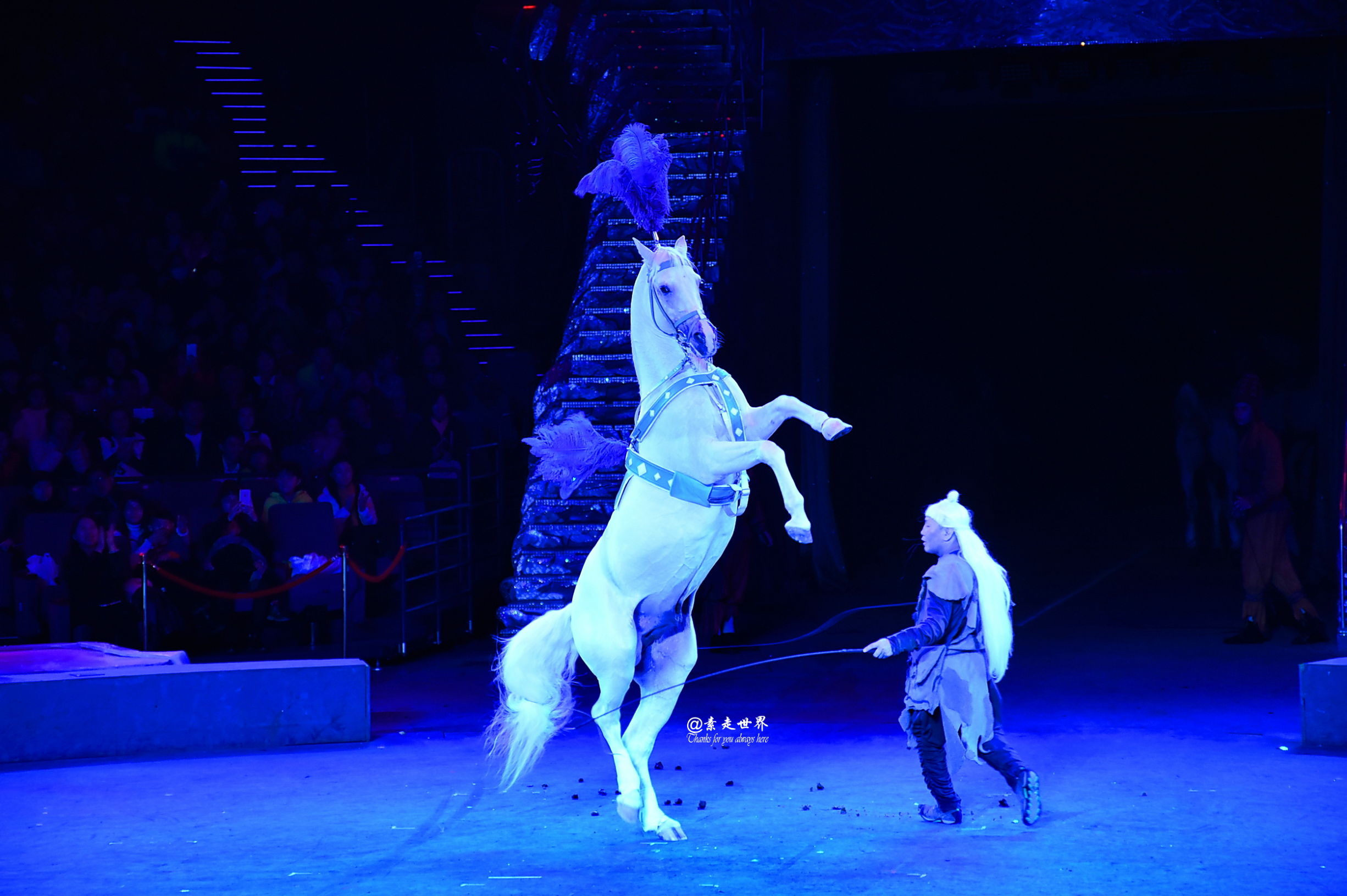 住马戏酒店游玩攻略,新年玩乐好地方