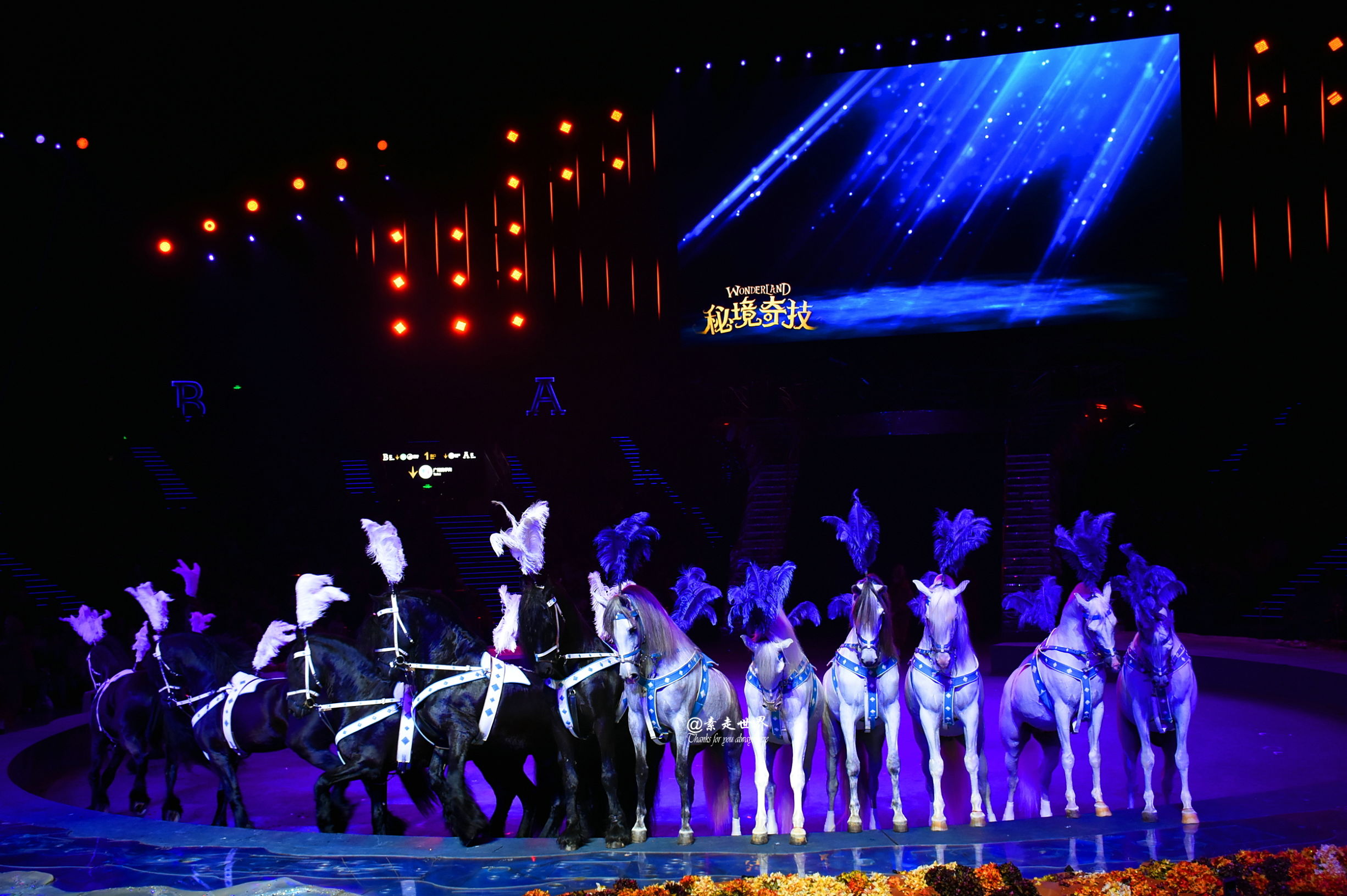 住马戏酒店游玩攻略,新年玩乐好地方