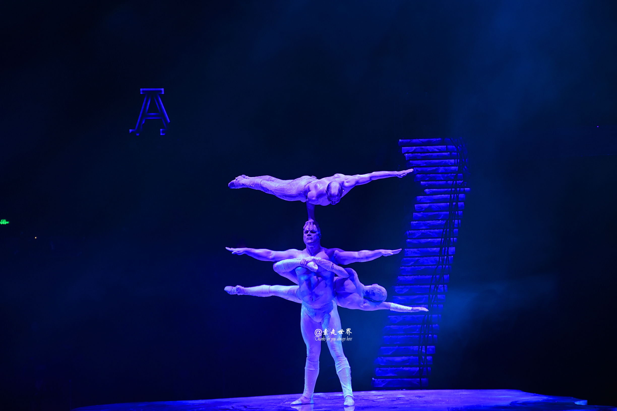 住马戏酒店游玩攻略,新年玩乐好地方