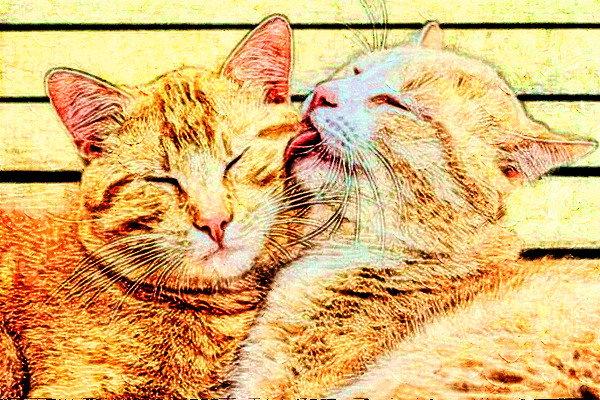 性学专家观点,性健康专家讲两性健康知识