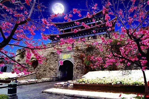 在云南过春节的感受,为什么来云南旅游