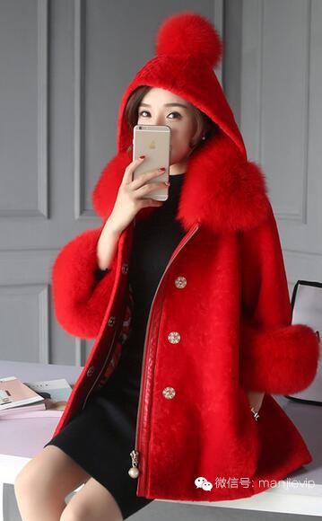 高端大气时尚皮草 (奢华大牌皮草高清写真集)