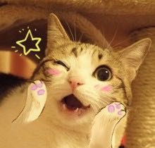 长草时间到啦！日本断货好货大公开！